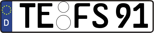 TE-FS91