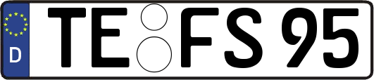 TE-FS95
