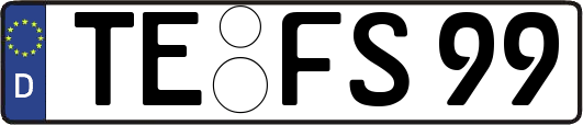 TE-FS99