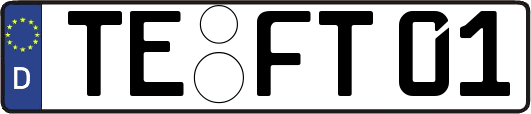TE-FT01