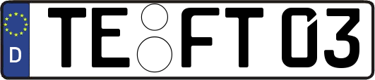 TE-FT03