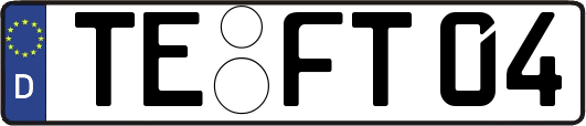 TE-FT04