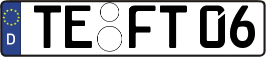 TE-FT06