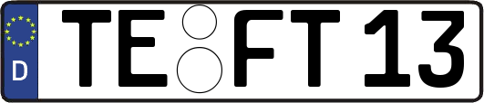TE-FT13
