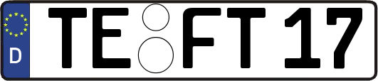 TE-FT17