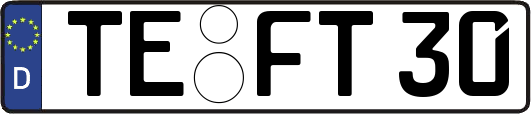 TE-FT30