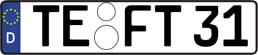 TE-FT31