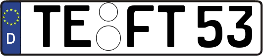 TE-FT53