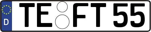 TE-FT55