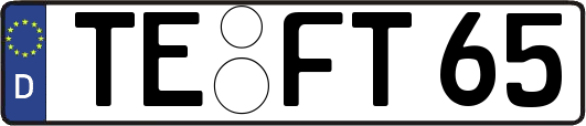 TE-FT65