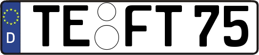 TE-FT75