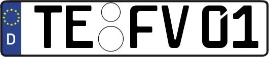 TE-FV01