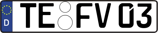 TE-FV03