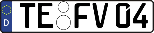 TE-FV04