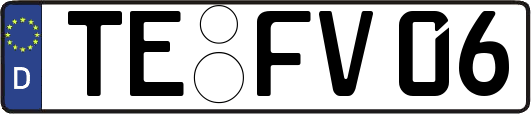 TE-FV06