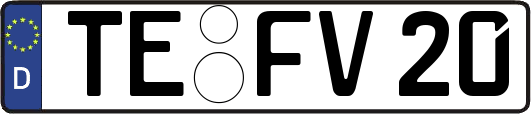 TE-FV20