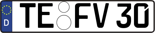 TE-FV30
