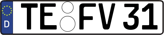 TE-FV31