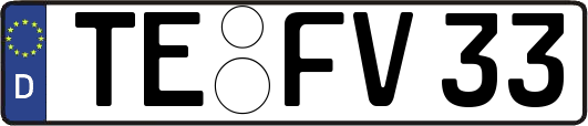 TE-FV33