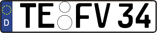 TE-FV34