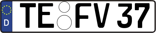 TE-FV37