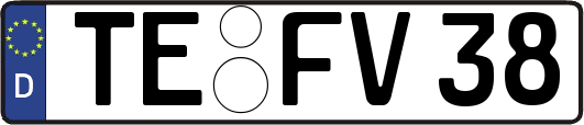 TE-FV38