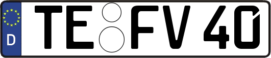 TE-FV40