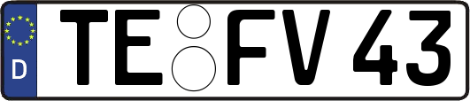 TE-FV43