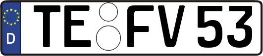 TE-FV53