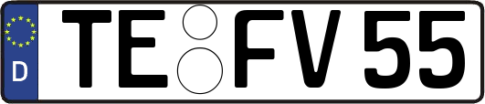 TE-FV55