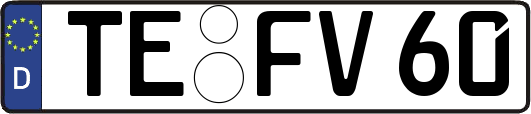 TE-FV60