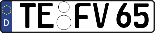 TE-FV65