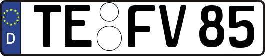 TE-FV85