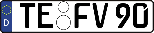 TE-FV90