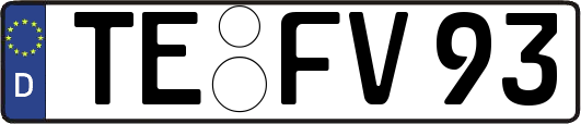 TE-FV93