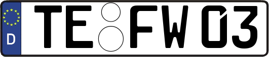 TE-FW03
