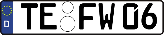 TE-FW06