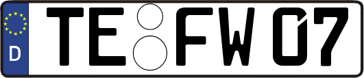 TE-FW07