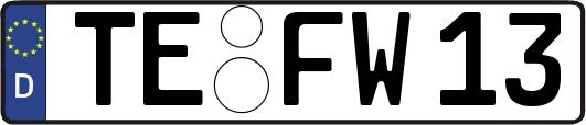TE-FW13