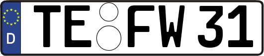 TE-FW31