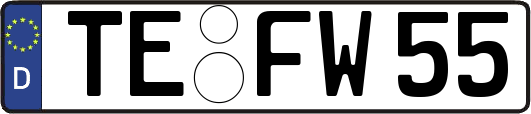 TE-FW55
