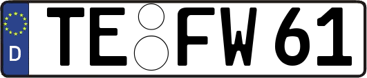 TE-FW61