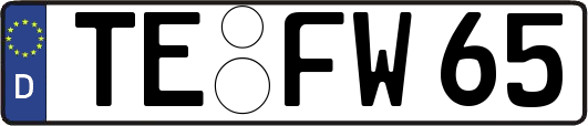 TE-FW65