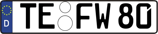 TE-FW80