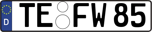 TE-FW85