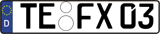TE-FX03