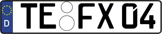 TE-FX04