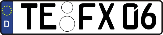 TE-FX06