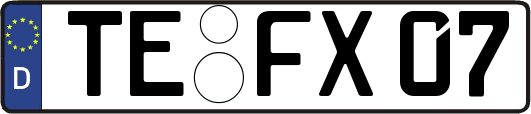 TE-FX07