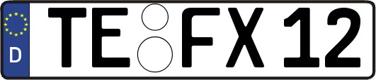 TE-FX12